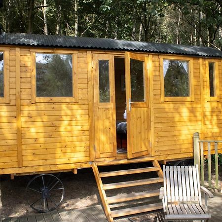 Pike'S Cabin In The Woods Hebden Bridge Exteriör bild