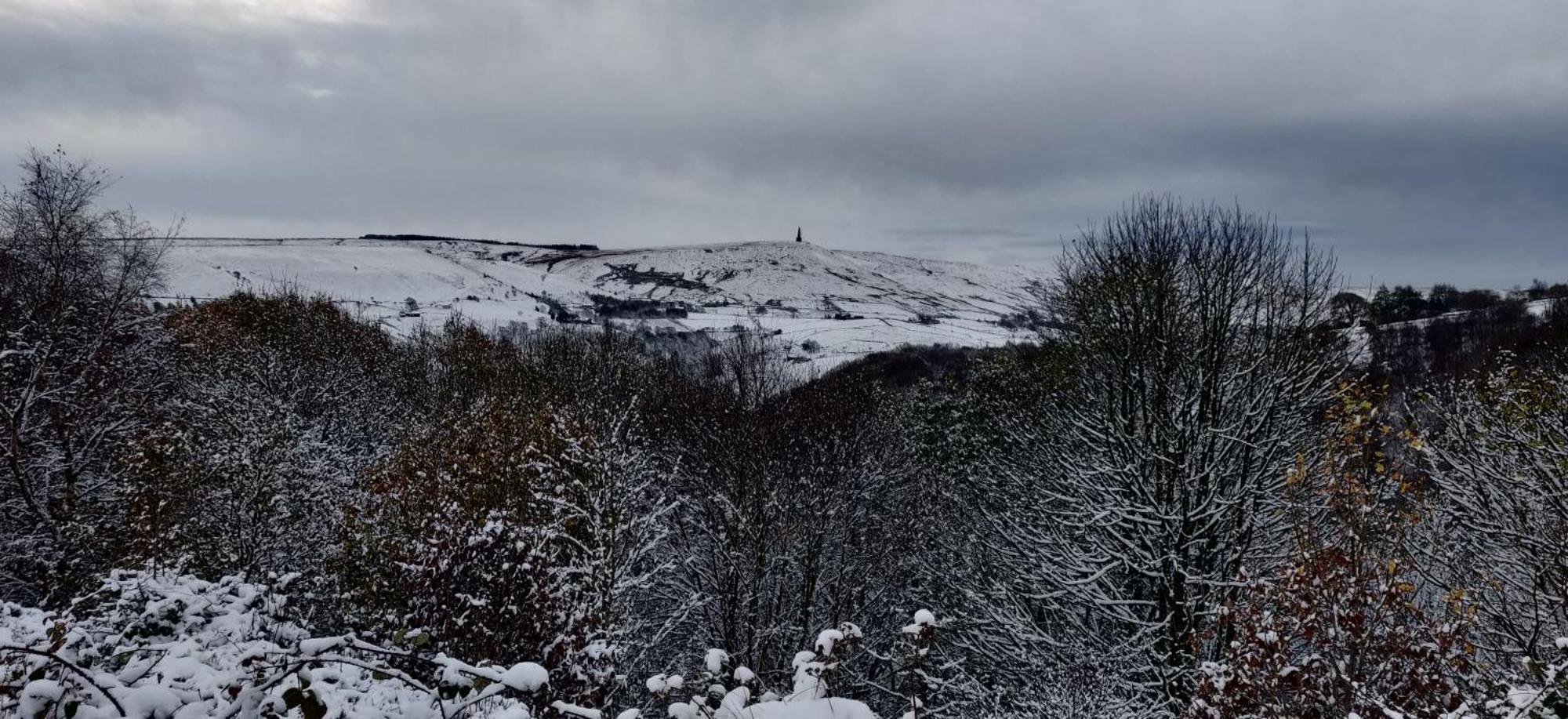 Pike'S Cabin In The Woods Hebden Bridge Exteriör bild